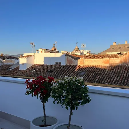 Atarazanas Suite, Atico Con Terraza Lejlighed Málaga